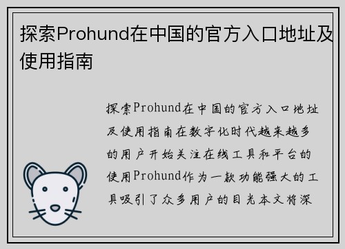 探索Prohund在中国的官方入口地址及使用指南